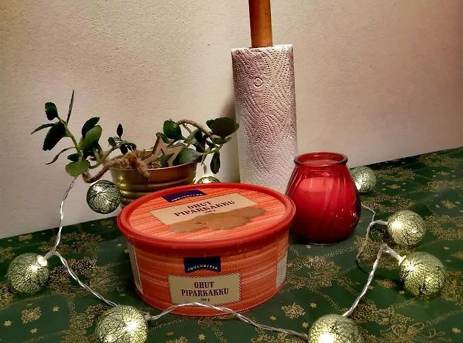 двухкомнатные просторные апартаменты. Daire *