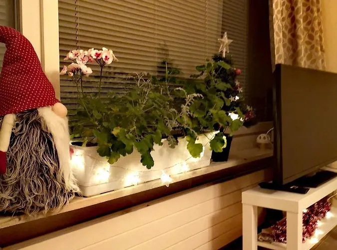 двухкомнатные просторные апартаменты. Daire *